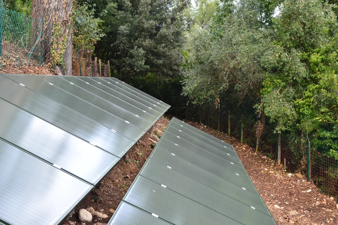 Fotovoltaico residenziale a terra su un terreno boscato in pendenza: file di pannelli su guide sostenute da fondazioni a vite T-Block.