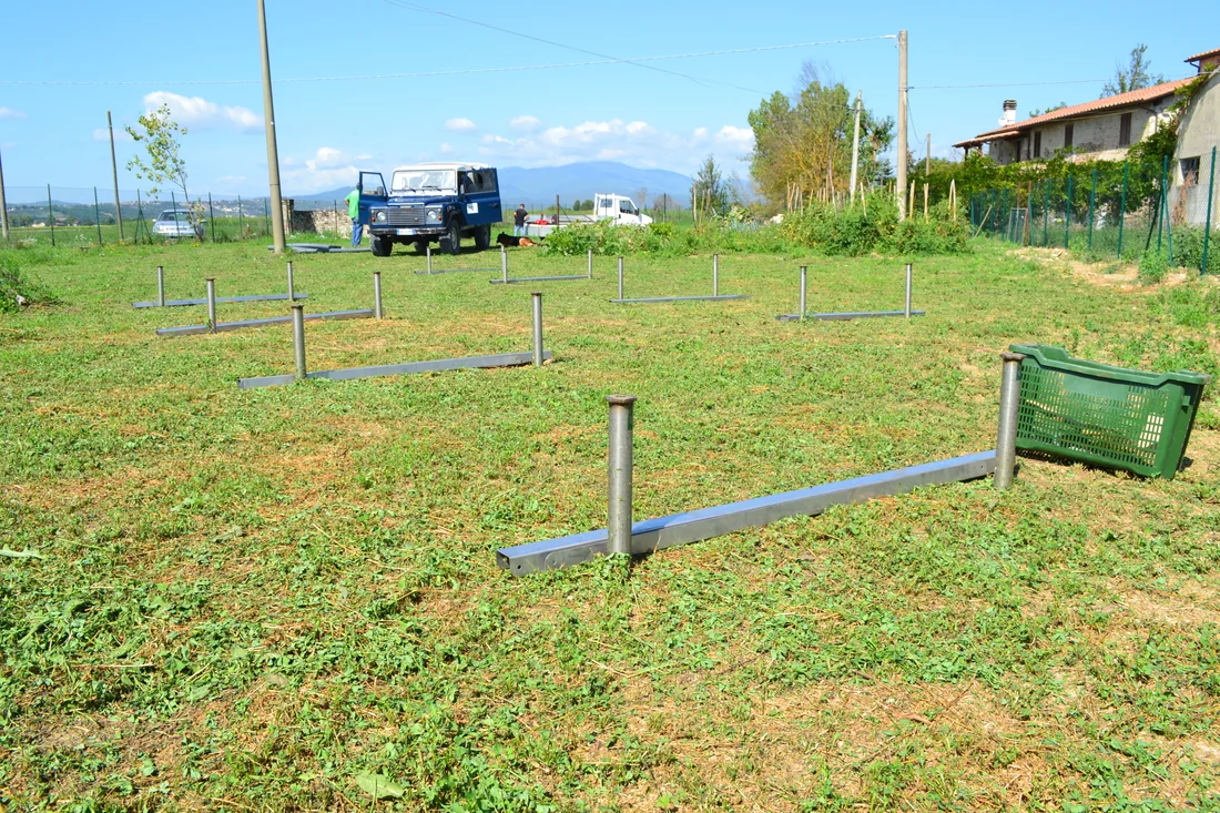 Fondazioni a vite T-Block già installate e allineate nel prato di un terreno agricolo, prima del montaggio della struttura fotovoltaica.