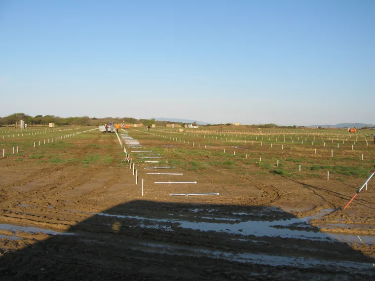 Campo di installazione a Montalto di Castro con centinaia di ancoraggi a vite T-Block già posati, prima del montaggio delle strutture.